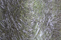 Wheal Rose fibreglass roof work